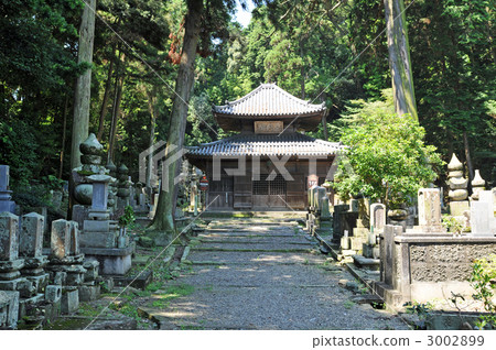 [Awa no Horyu-ji Temple] Jorokuji Kannon Hall, Tokushima City, Tokushima Prefecture 3002899