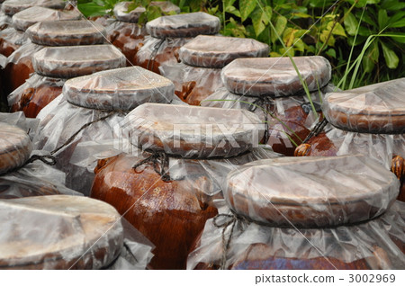 At the natural salt workshop 3002969