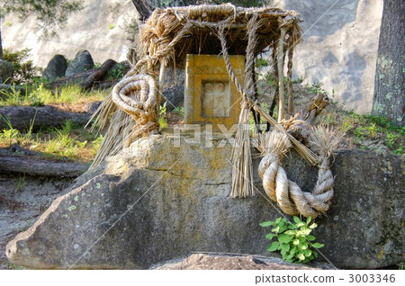 Ashinotemi Daigo Ashinotemi Daigo 3003346