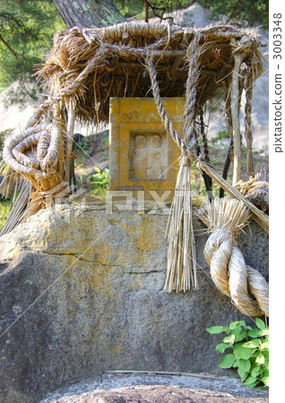 Ashinotegauri daigo in summer Ashinotegauri daigo in summer 3003348