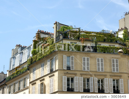 屋頂頂綠化 3003649