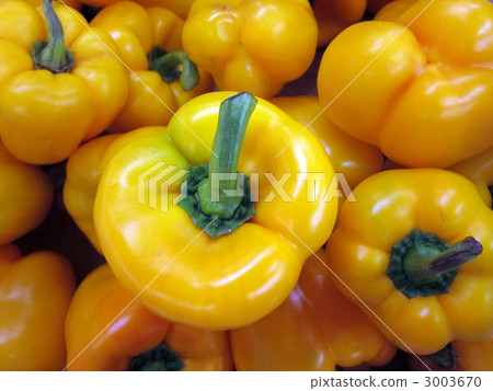Paprika Yellow 3003670