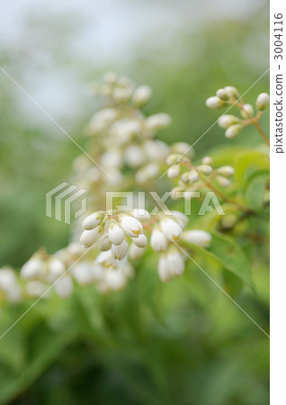 無限制的萌芽 無限制的萌芽 3004116
