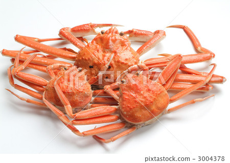 雪蟹魚 3004378