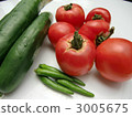 Summer vegetable 3005675