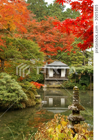 Autumn leaves (Ring Owon · Rosei Park) 3005805