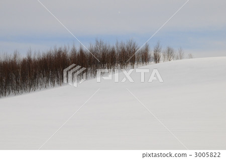 Snow Hill and Larch forest Snow Hill and Larch forest 3005822