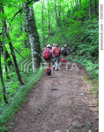 Middle and aged trekking 3005866