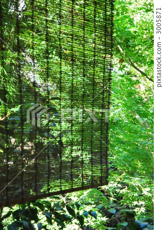 Summer garden 3005871