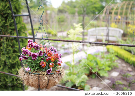 懸掛在花園園藝中的懸掛花盆 3006510
