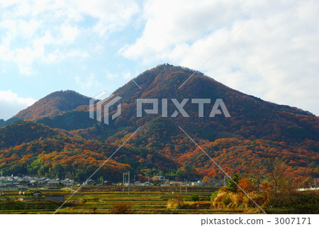 Kamiyama Autumn Leaves 3007171