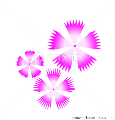 Pink 3007248