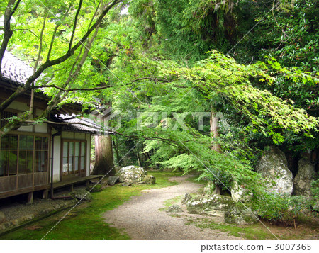 Taga Taisha Oku Shosoin花園 3007365
