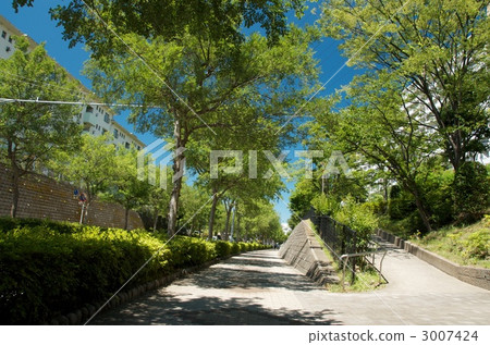 人行道 街景 街道 3007424