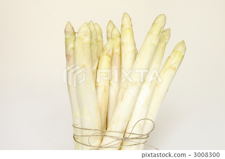 白蘆筍 3008300