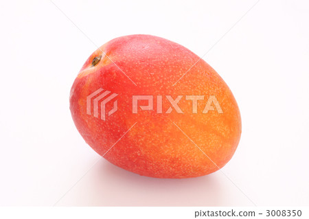 Apple Mango (Erwin variety) Apple Mango (Erwin variety) 3008350