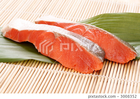 Salty salmon salmon 3008352