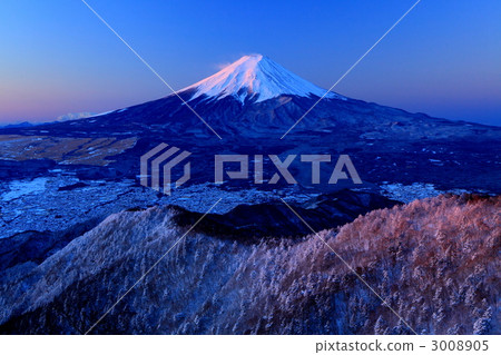 富士瑞美 富士瑞美 3008905