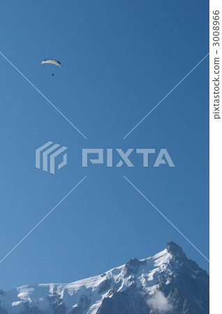 Midi Needle Peak Parapanto Midi Needle Peak Parapanto 3008966