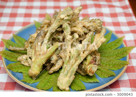 野菜天婦羅 3009043