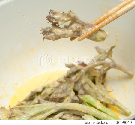 野菜天婦羅 3009049