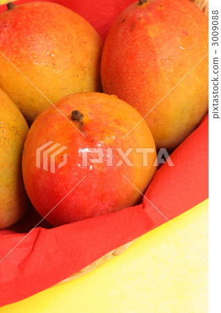Mango fruits 3009088