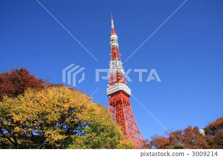 Tokyo Tower Tokyo Tower 3009214