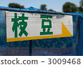 毛豆 3009468