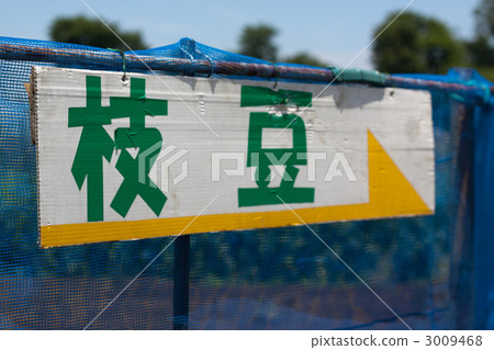 毛豆 3009468