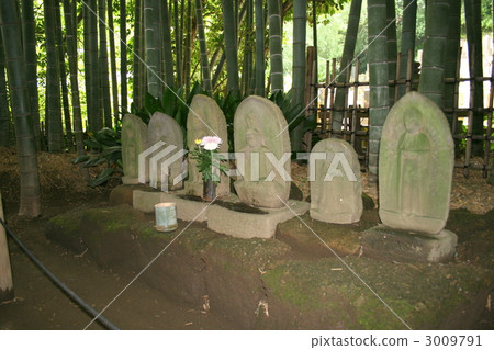 美麗的竹園參觀著名的rebukuji寺廟 3009791