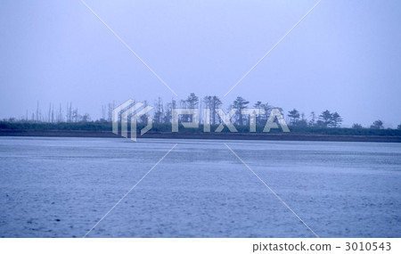 在Noshi半島的Todoara 在Noshi半島的Todoara 3010543