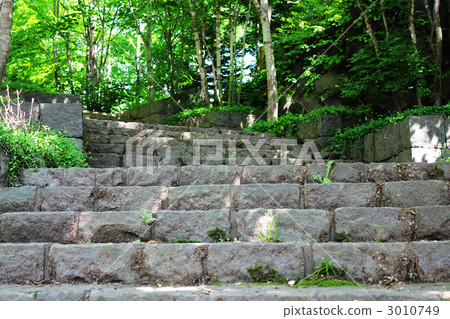 陽光樓梯 3010749