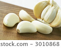 Garlic 3010868