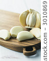 Garlic 3010869