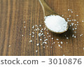 Natural rock salt 3010876