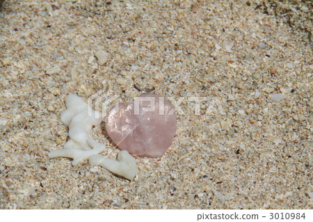 海灘和心臟 海灘和心臟 3010984