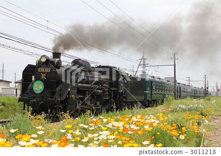 It is a good smell. 3011218