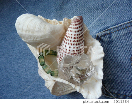seashell, shell, crystal 3011284