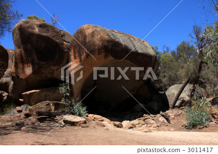 Yawn of Australia · Hippo 3011417