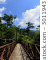 suspension bridge, yamanaka, among the mountains 3011943