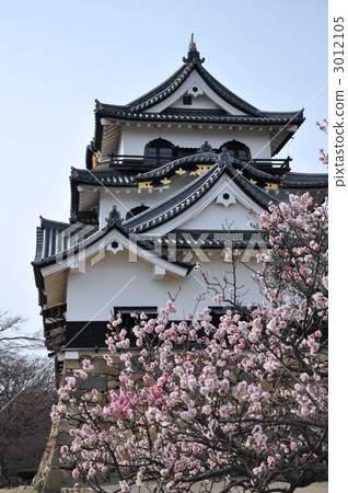 彥根城堡 彥根城堡 3012105