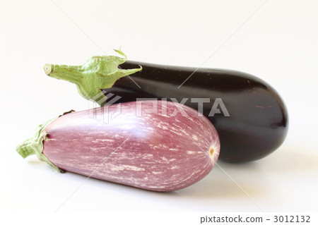 Eggplant 3012132