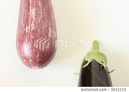 Eggplant 3012133