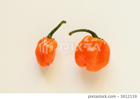 阿巴內羅 阿巴內羅 3012139