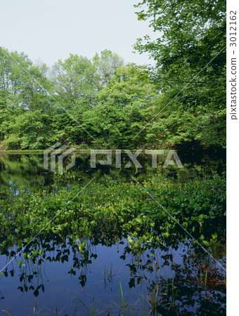 Yanohara停泊 3012162