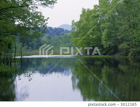 Yanohara停泊 3012165