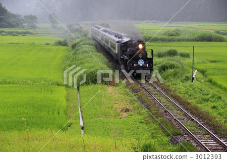 蒸汽機車 磐越物語滑板鞋 鐵路 3012393