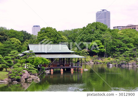 眺望台 帶樹和池塘的風格花園 茶室造 3012900