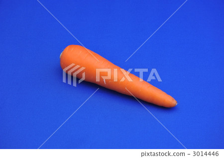 紅蘿蔔 3014446