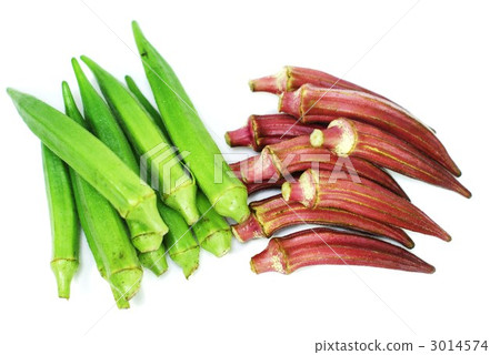 Okra red okra white back overlook horizontal position 3014574